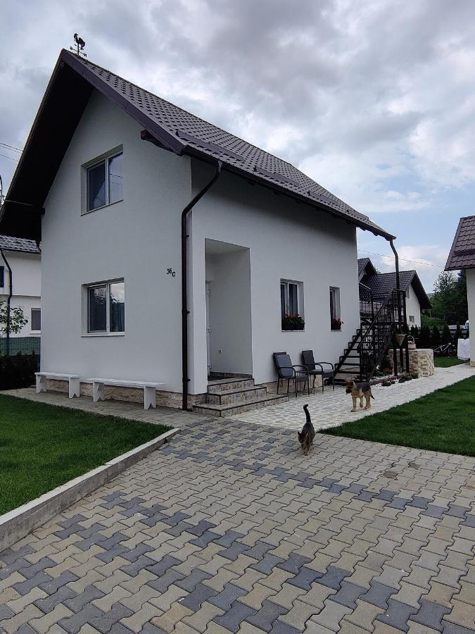 Vizuina Lupului Hotel Gura Humorului Kültér fotó